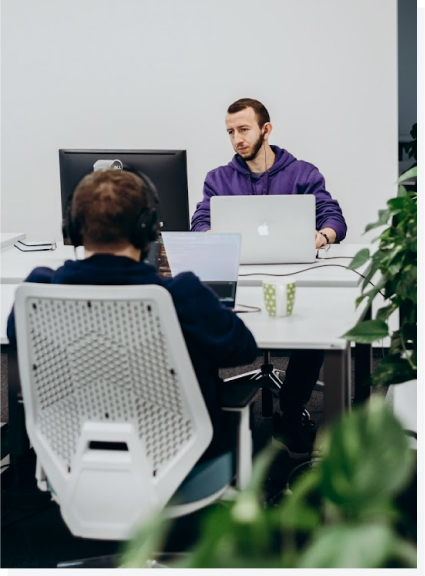 Working hard or Hardly working - Amsterdam Standard